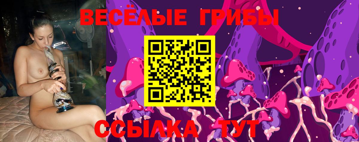 Галлюциногенные грибы MAGIC MUSHROOMS  Вход с VPN  Кизилюрт  даркнет сайт  Галлюциногенные грибы мицелий 